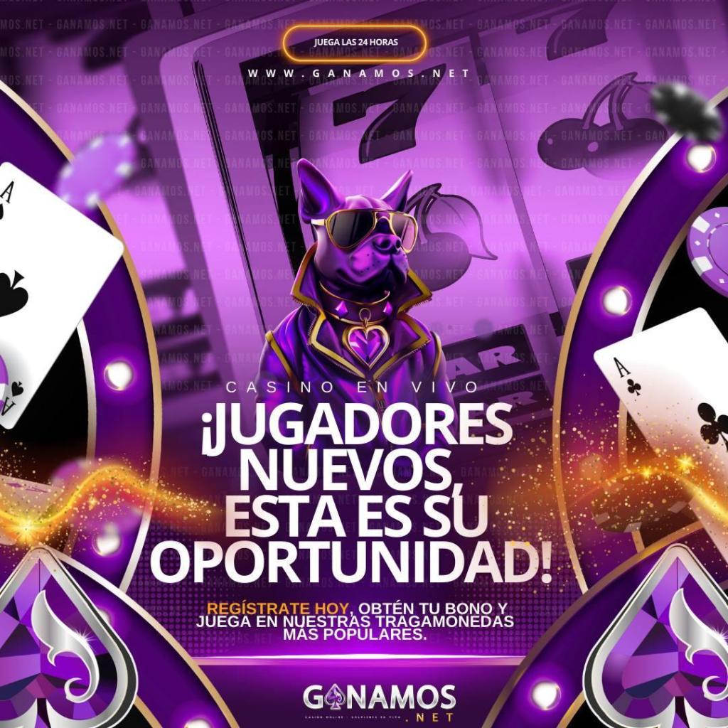 Anuncio colorido de un casino en vivo con un perro vestido con gafas de sol. Incluye cartas de póker y un mensaje para nuevos jugadores sobre una oportunidad especial y registro para bonos.